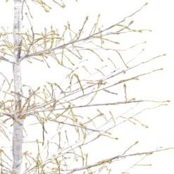 Albero Conico Tiglio bianco h 2,1 m, 1856 microled bianco caldo, uso interno