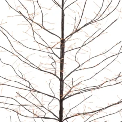 Albero luminoso Tiglio marrone 2 m, 1120 microled bianco caldo, uso interno