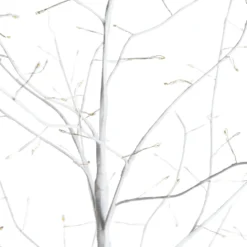 Albero Ramo Tiglio bianco 1,7 m, 784 microled bianco caldo, uso interno