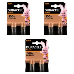 12 batterie AAA Duracell Plus