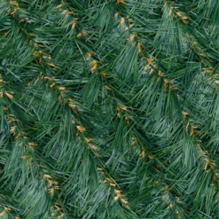 Carpet di finto pino verde professionale h. 1 x 5m, maglia 5 x 5 cm