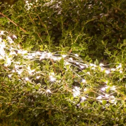 Cascata di luce argento, 900 microled bianco caldo