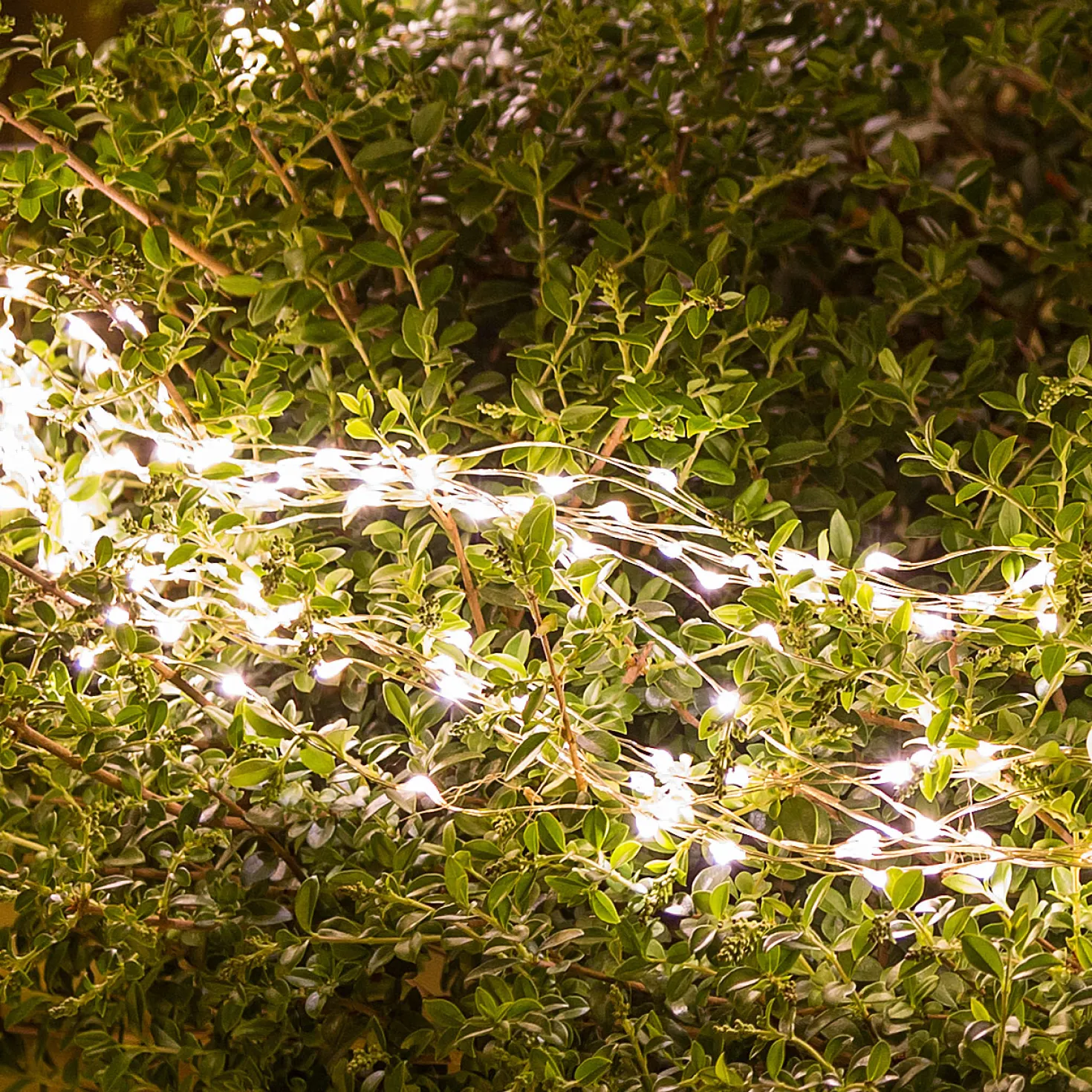 Cascata di luci 3 m, 900 microled bianco caldo