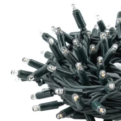 Catena Connect ProLine 36V, 12 m, 120 maxiled bianco caldo, cavo verde, prolungabile