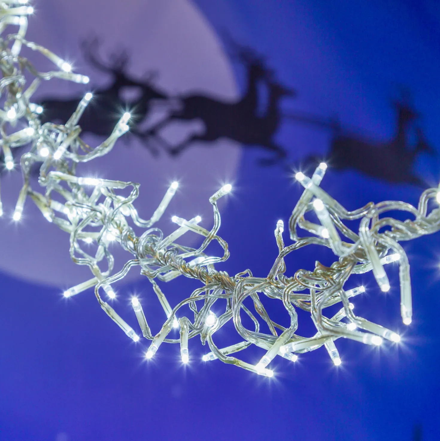 Catena Festone di Luce 12,5 m, 1100 miniled bianco freddo