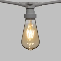 Catena 5 m, 16 lampadine led Edison Ø 64 mm di 4 watt dimmerabili, cavo bianco, prolungabile