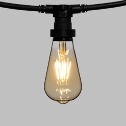 Catena 5 m, 16 lampadine led Edison Ø 64 mm di 4 Watt, cavo nero, prolungabile