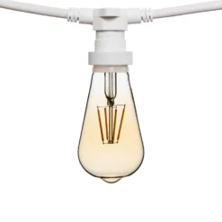 Catena 5 m, 5 lampadine led Edison Ø 64 mm da 4 Watt, cavo bianco, prolungabile