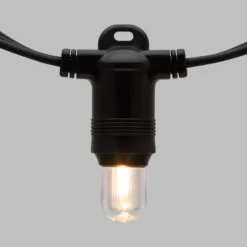 Catena 6 m, 20 lampadine Ø 18 mm, filament led bianco caldo, prolungabile, senza presa