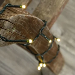 Catena 2 m, 20 led bianco caldo