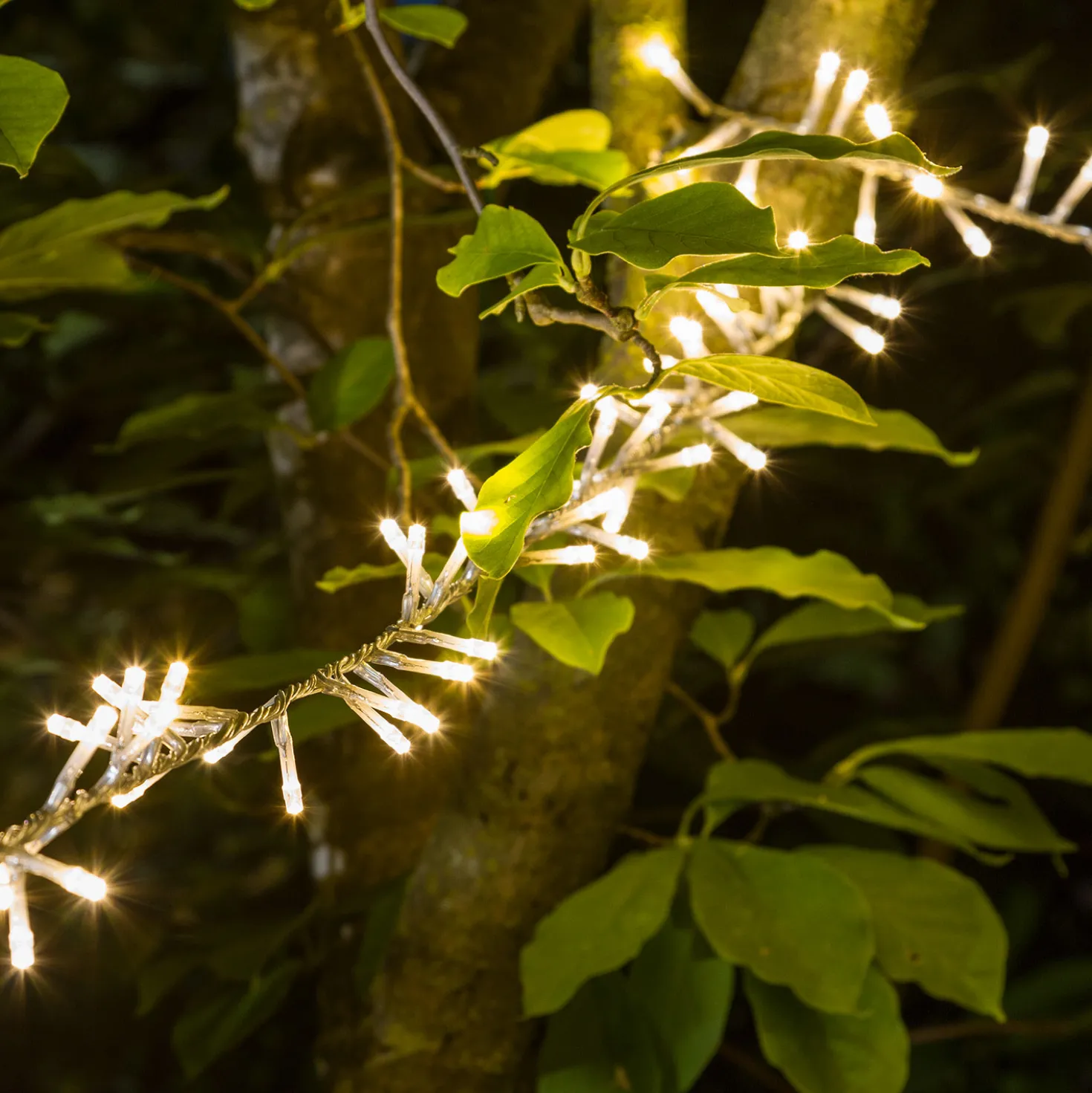 Catena Nastro di Luce 30,5 m, 1500 led bianco caldo
