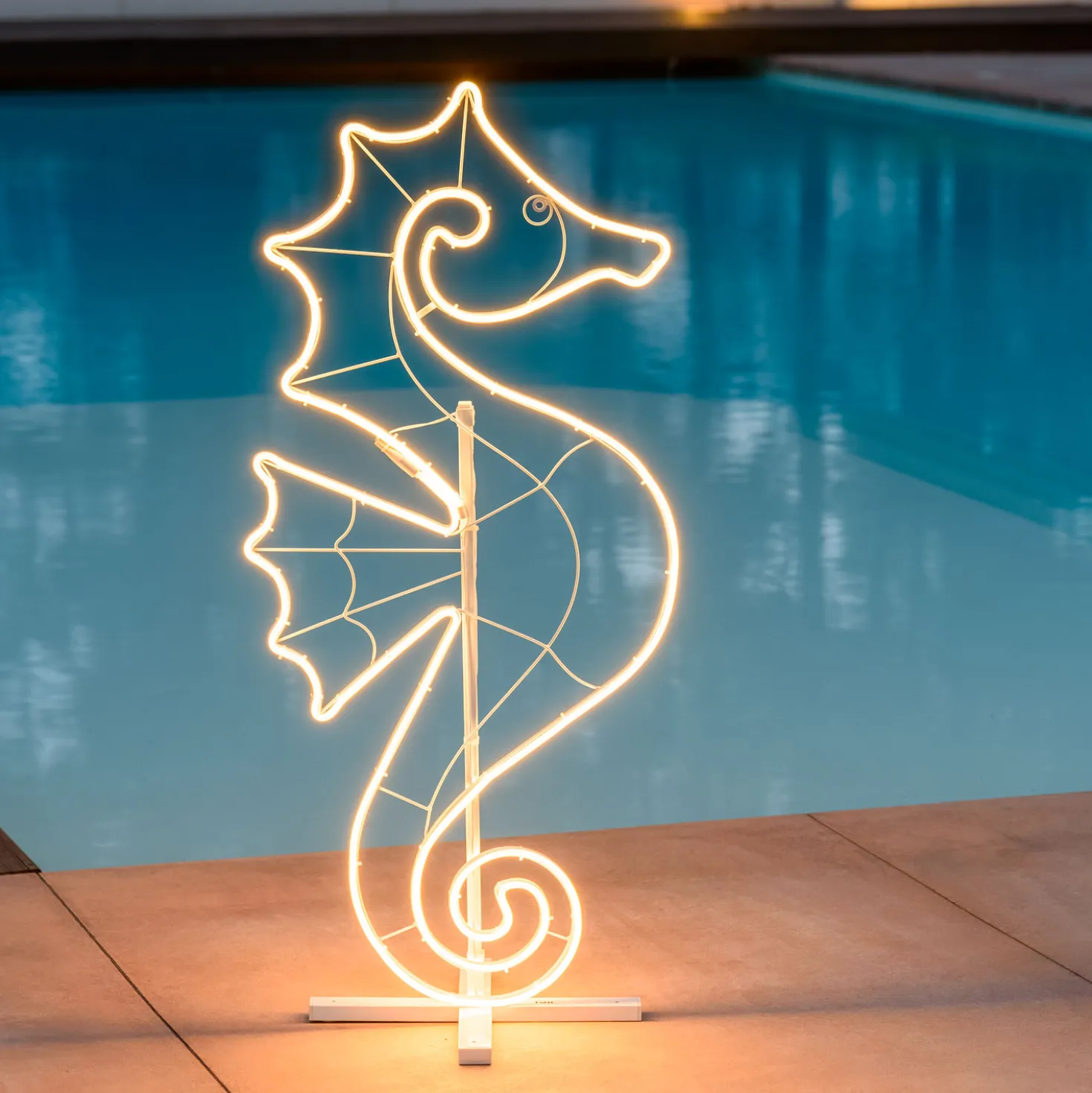 Cavalluccio Marino in tubo led effetto neon, lato sinistro
