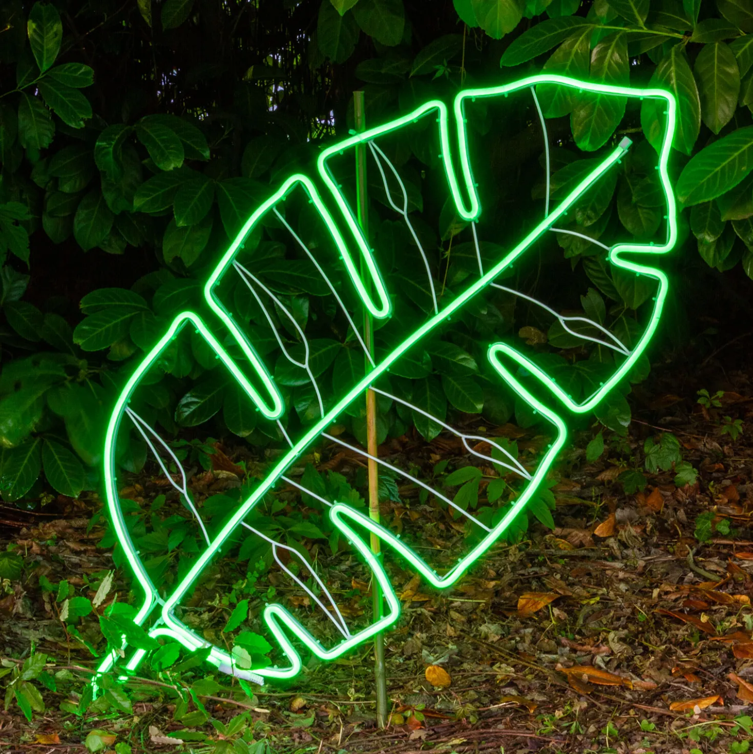 Foglia Tropicale Verde in tubo led effetto neon, 114 cm