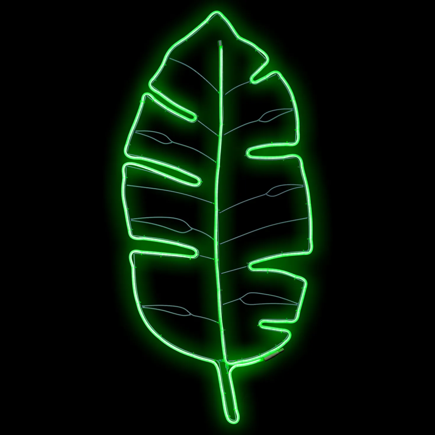 Foglia Tropicale Verde in tubo led effetto neon, 114 cm
