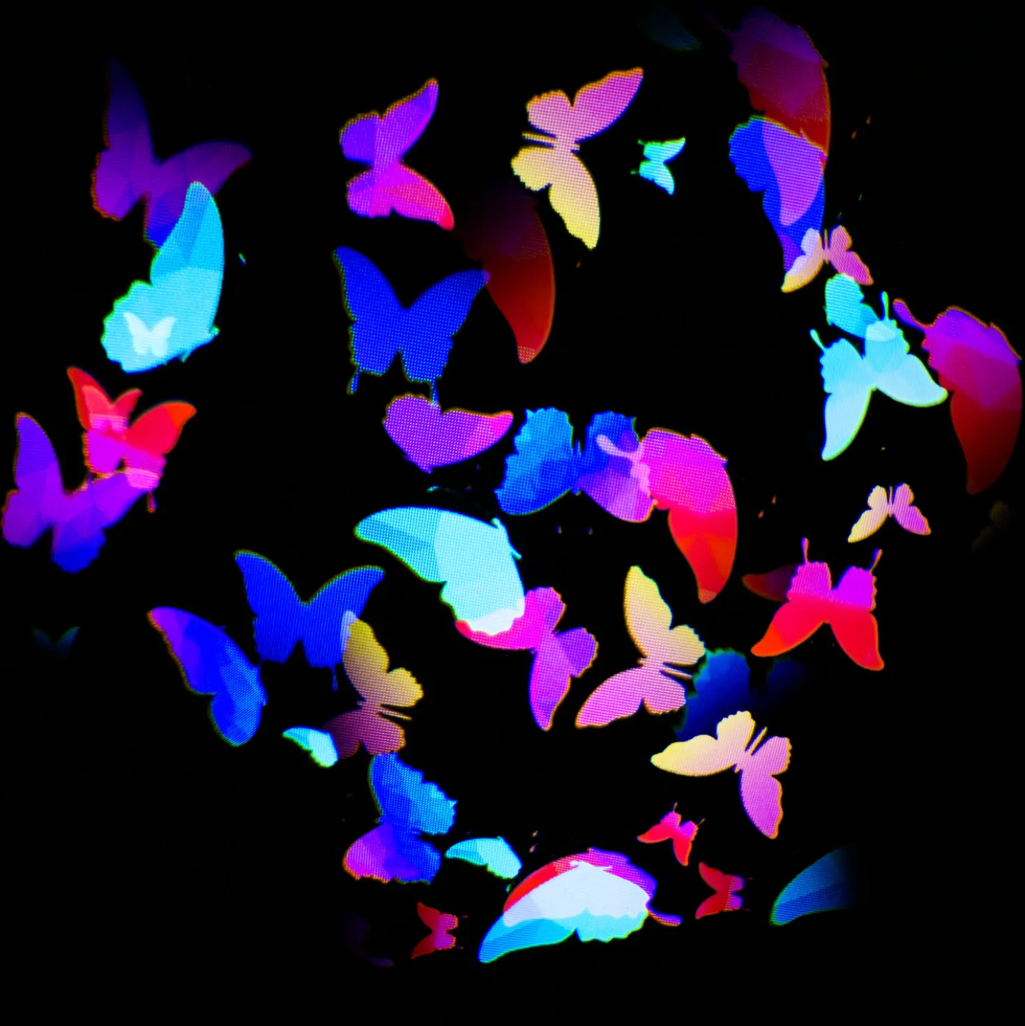 Gobo Effetto farfalle in movimento