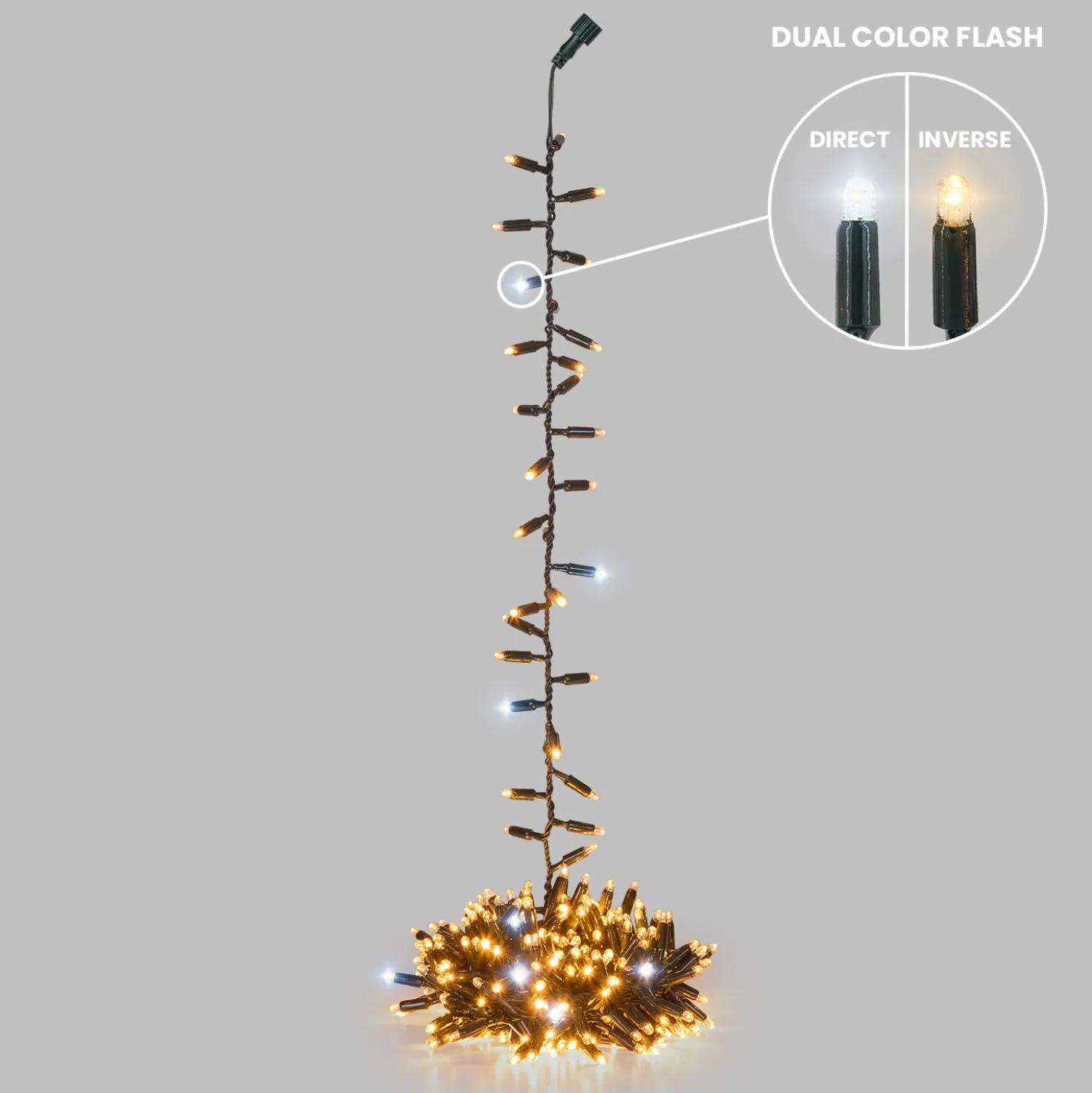 Nastro Pendente Connect ProLine 36V, 6 m, 300 maxiled bianco caldo, cavo verde