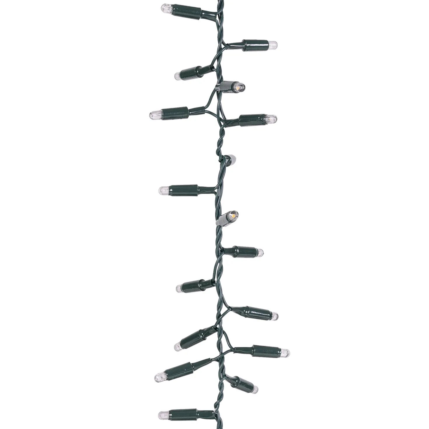 Nastro Pendente Connect ProLine 36V, 2 m, 100 maxiled bianco caldo, cavo verde