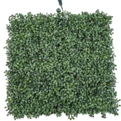 Pannello di Bosso artificiale verde scuro Green Wall Light, 16 maxiled Dual Color bianco caldo