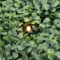 Pannello di Bosso artificiale verde scuro Green Wall Light, 16 maxiled Dual Color bianco caldo