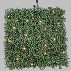 Pannello di Bosso artificiale verde scuro Green Wall Light, 16 maxiled Dual Color bianco caldo