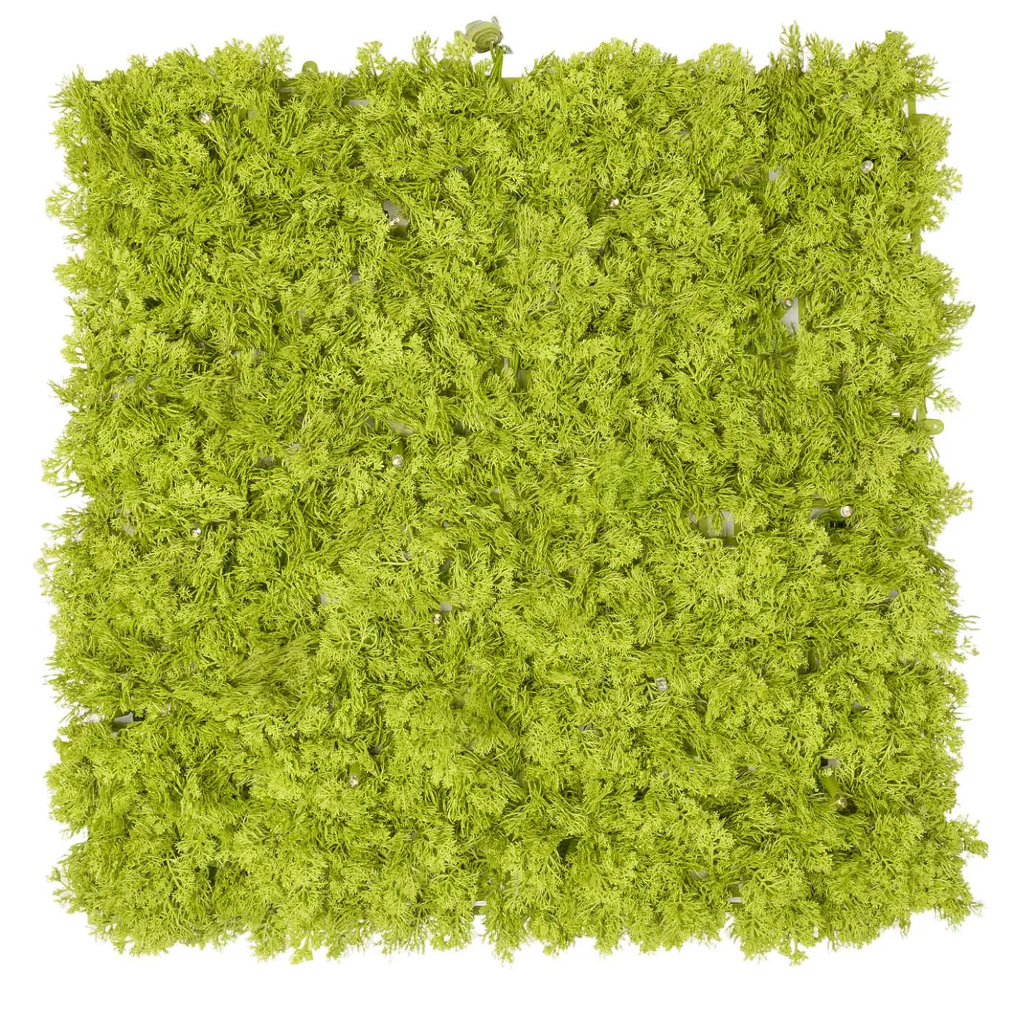 Pannello di Lichene artificiale verde acido Green Wall Light, 16 maxiled Dual Color bianco caldo
