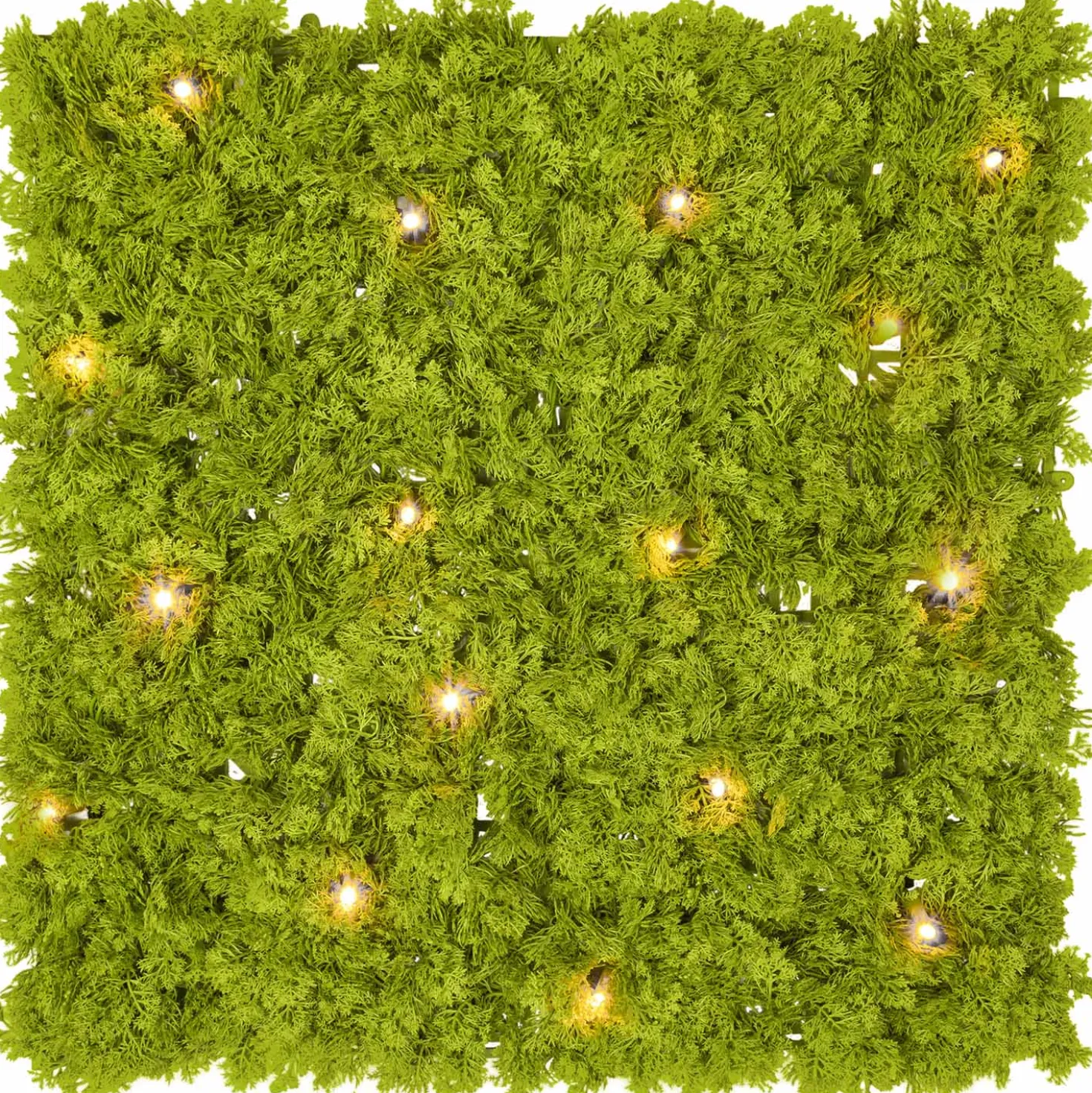 Pannello di Lichene artificiale verde acido Green Wall Light, 16 maxiled Dual Color bianco caldo