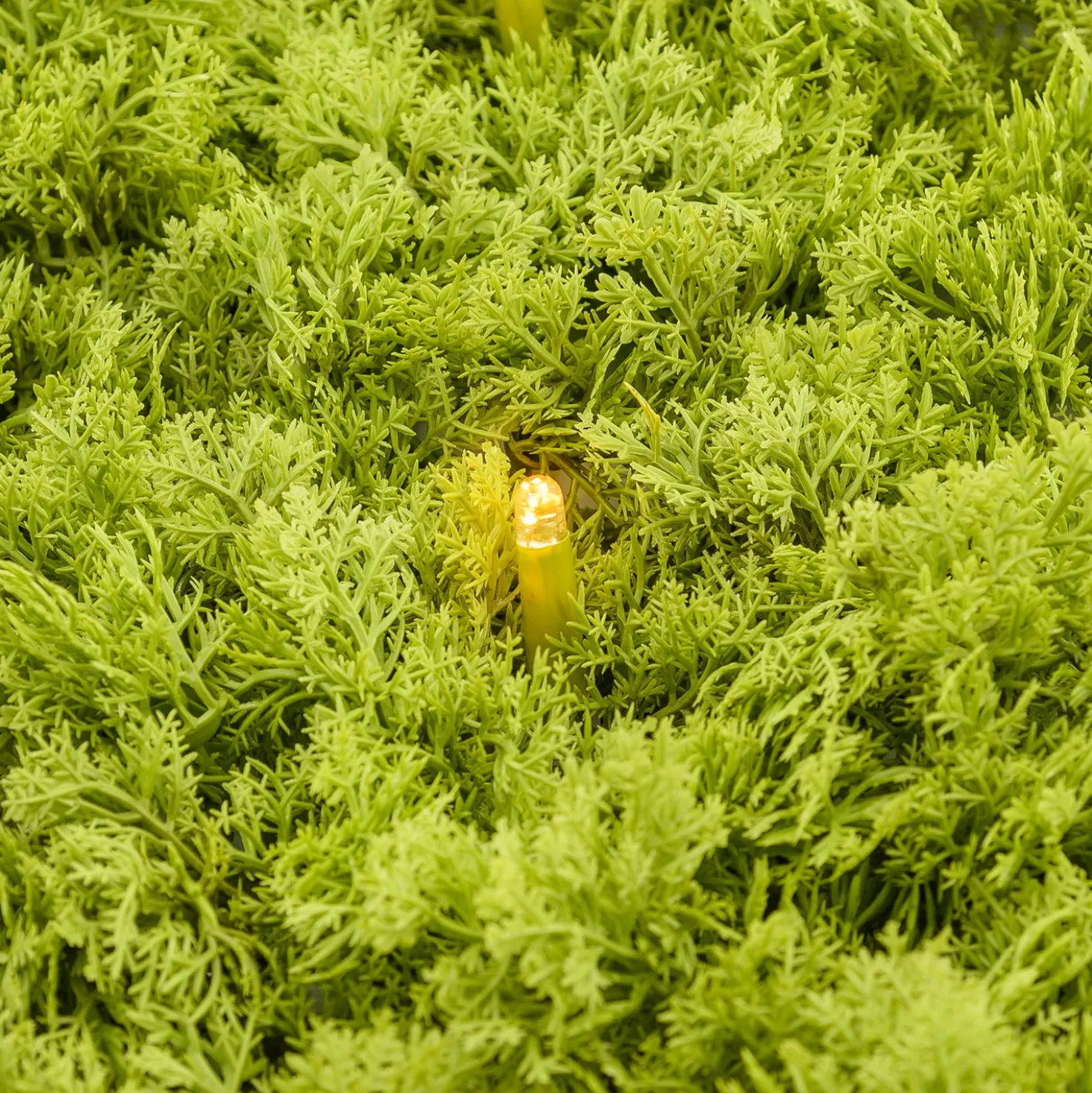 Pannello di Lichene artificiale verde acido Green Wall Light, 16 maxiled Dual Color bianco caldo