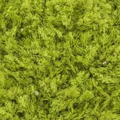 Pannello di Lichene artificiale verde acido Green Wall Light, senza luci
