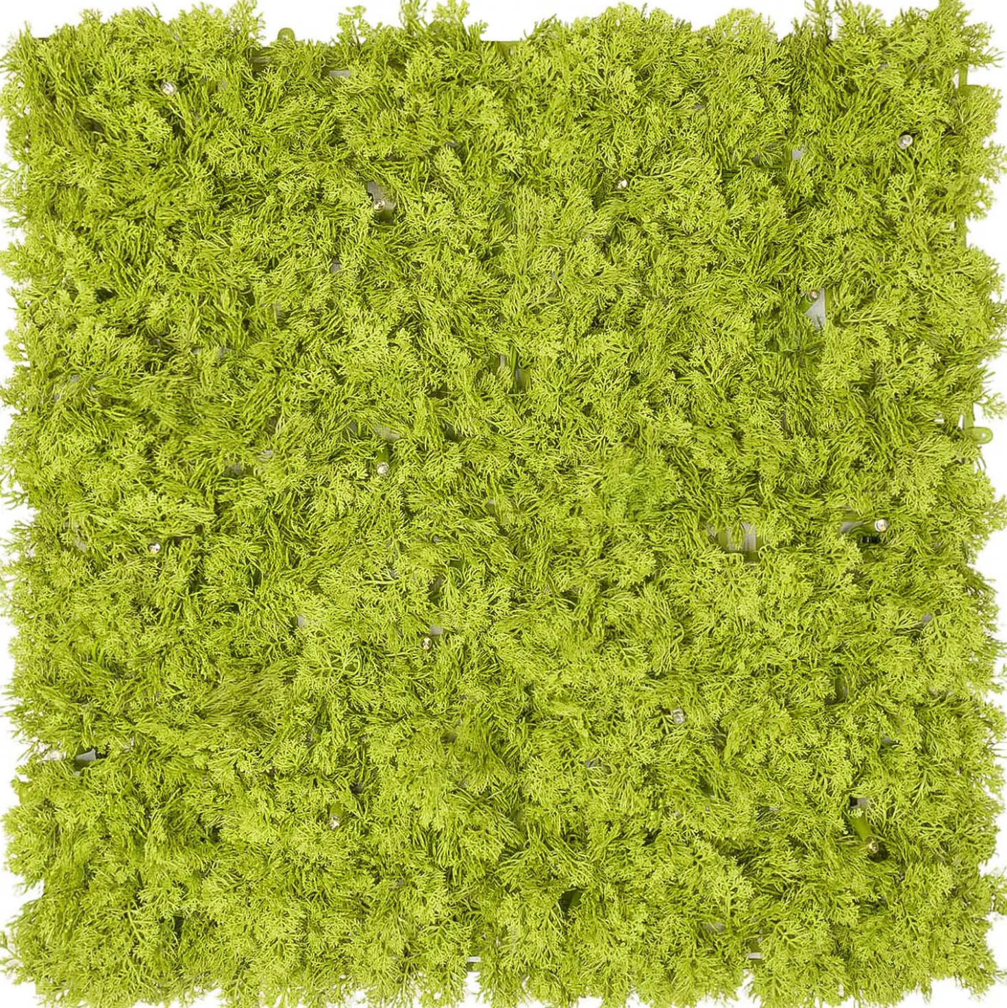 Pannello di Lichene artificiale verde acido Green Wall Light, senza luci