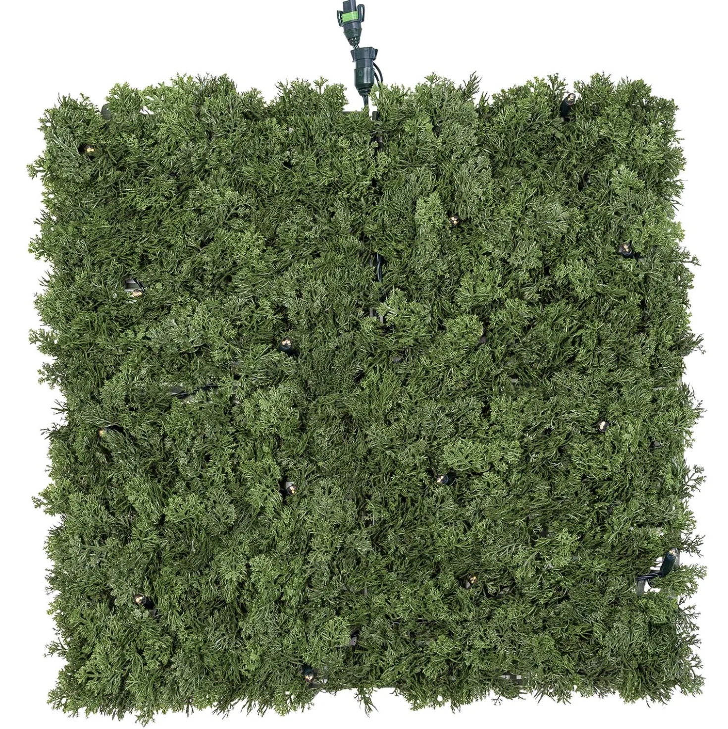 Pannello di Lichene artificiale verde bosco Green Wall Light, senza luci