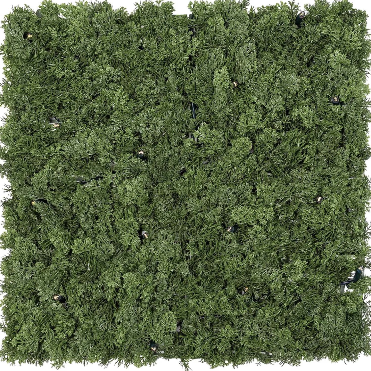 Pannello di Lichene artificiale verde bosco Green Wall Light, senza luci