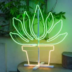 Pianta grassa con vaso in tubo neon, led bianco caldo e verde
