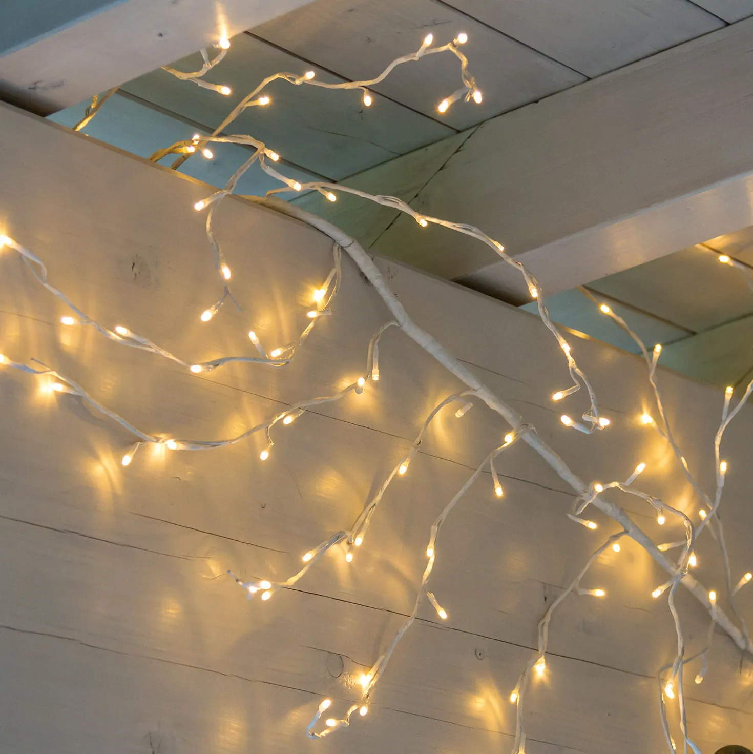 Ramo bianco 3 m, led bianco caldo
