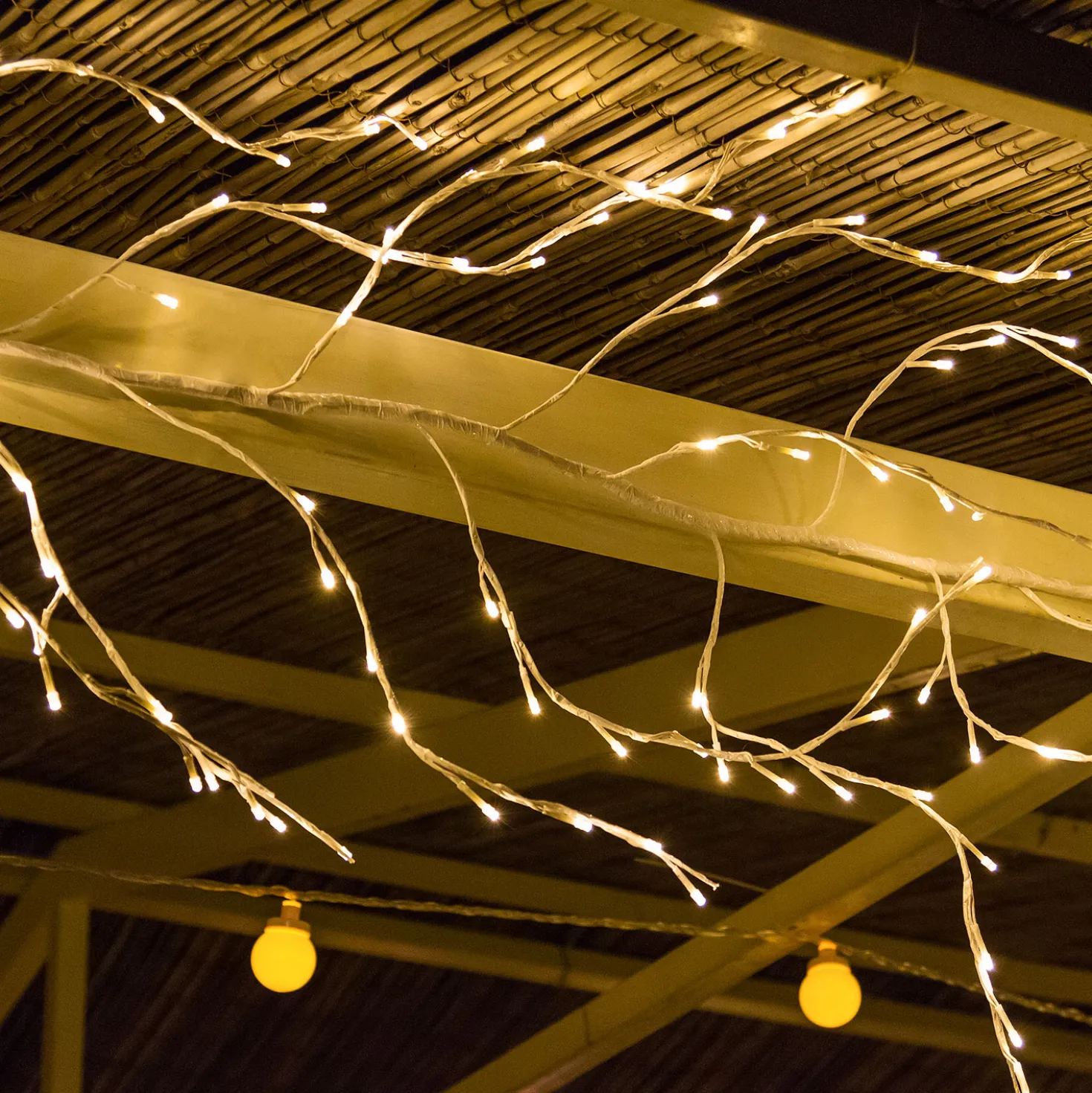 Ramo bianco 3 m, led bianco caldo